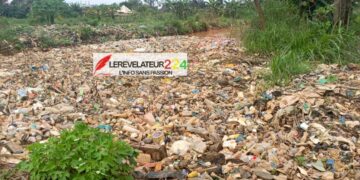 N&rsquo;Zérékoré : l&rsquo;appel à l&rsquo;éco-citoyenneté d&rsquo;un expert face au péril des déchets plastiques