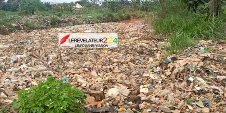 N’Zérékoré : l’appel à l’éco-citoyenneté d’un expert face au péril des déchets plastiques