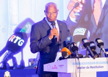 Bah Oury: « la création du Fonds Souverain de Guinée engage notre capacité à administrer la richesse nationale avec discipline »