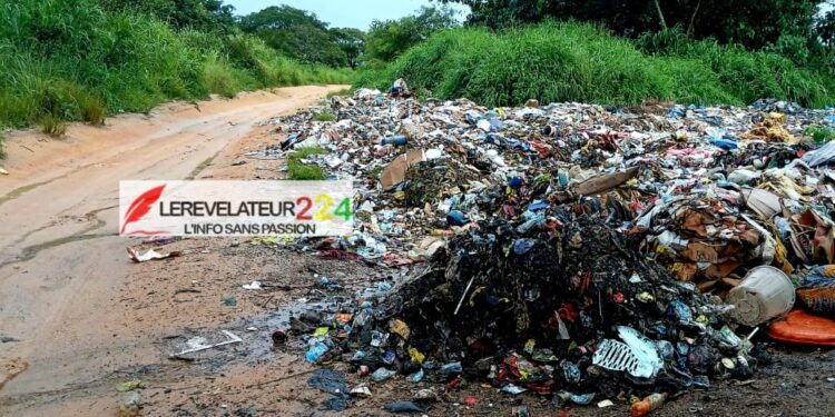 KISSIDOUGOU : la décharge de Songbô déborde, la route de Yombirô menacée par les ordures