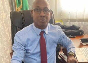 La gestion du potentiel fiscal en Guinée (Par Dr. Mamadou Aliou Bah)