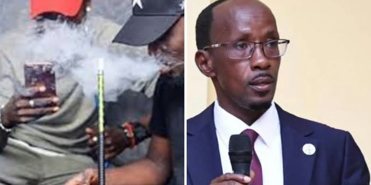 Guinée : le parquet général ordonne des opérations contre l’importation et la commercialisation de la chicha