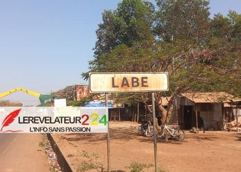 Meurtre de Mamadou Saïdou Diallo à Dionfo : un suspect transféré à Labé