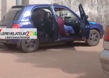 Lutte contre les stupéfiants à Labé : 16 personnes sous les verrous suite à une vaste opération anti-chicha